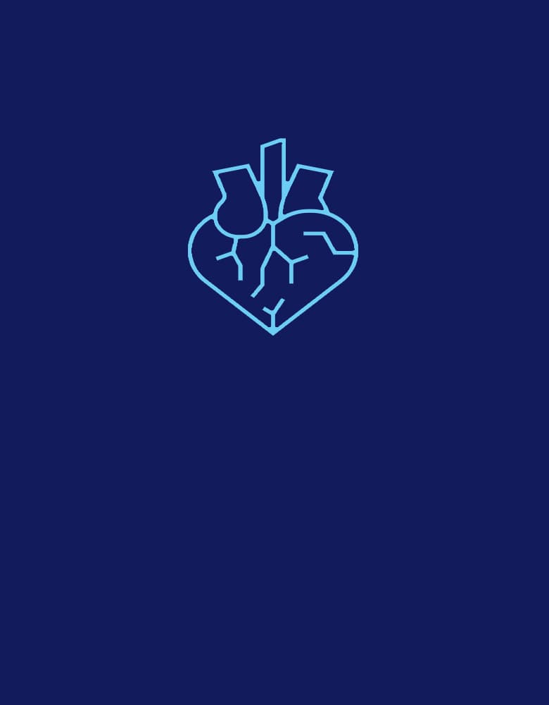 Vascular Ultrasound
